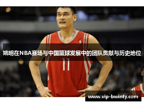 姚明在NBA赛场与中国篮球发展中的团队贡献与历史地位