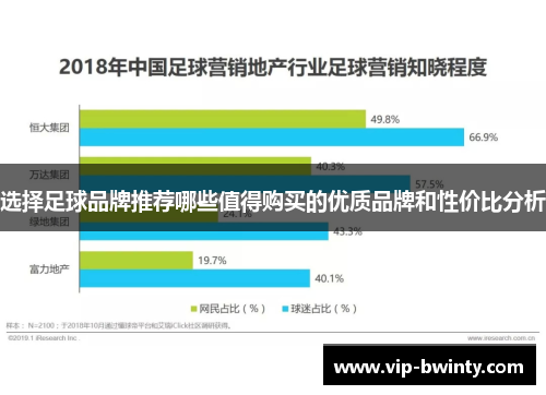 选择足球品牌推荐哪些值得购买的优质品牌和性价比分析