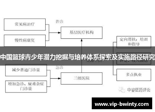 中国篮球青少年潜力挖掘与培养体系探索及实施路径研究