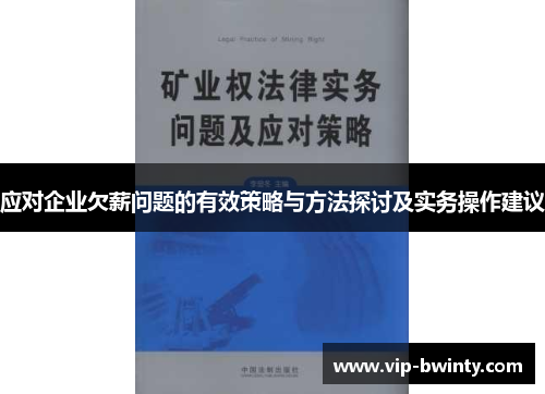 应对企业欠薪问题的有效策略与方法探讨及实务操作建议