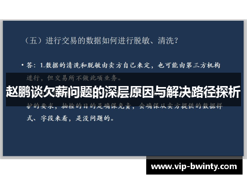 赵鹏谈欠薪问题的深层原因与解决路径探析