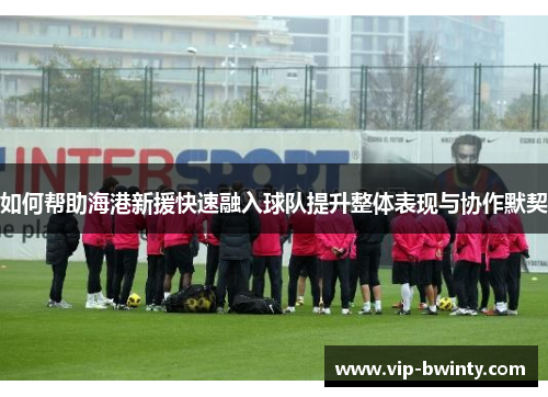 如何帮助海港新援快速融入球队提升整体表现与协作默契