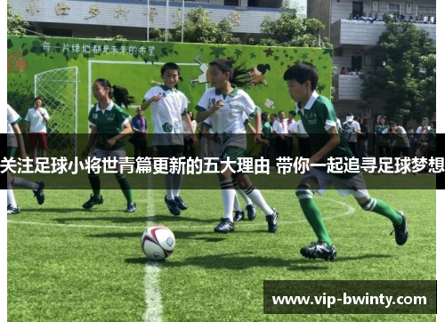 关注足球小将世青篇更新的五大理由 带你一起追寻足球梦想