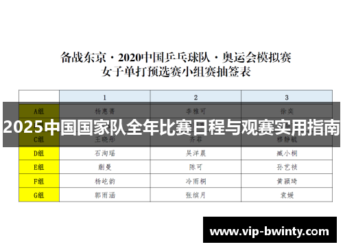 2025中国国家队全年比赛日程与观赛实用指南