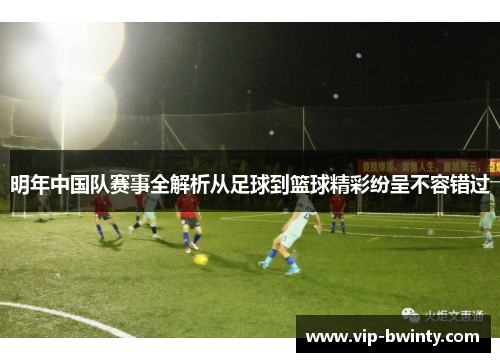 明年中国队赛事全解析从足球到篮球精彩纷呈不容错过